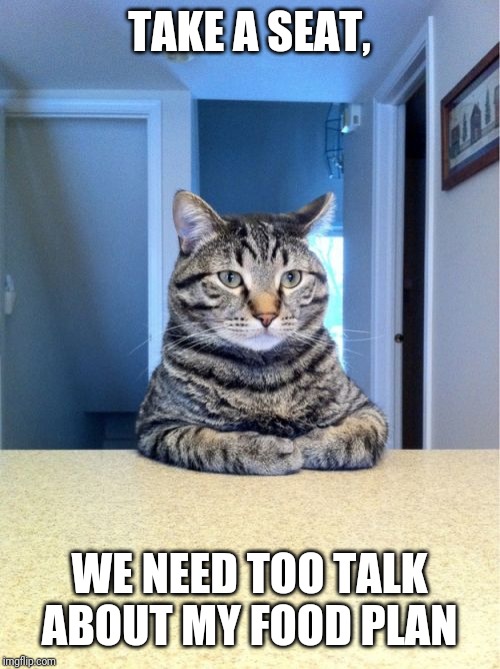 Take A Seat Cat | TAKE A SEAT, WE NEED TOO TALK ABOUT MY FOOD PLAN | image tagged in memes,take a seat cat | made w/ Imgflip meme maker