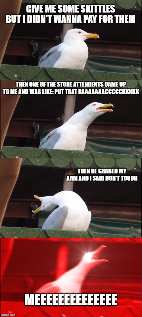 yes | GIVE ME SOME SKITTLES BUT I DIDN'T WANNA PAY FOR THEM; THEN ONE OF THE STORE ATTENDENTS CAME UP TO ME AND WAS LIKE: PUT THAT BAAAAAAACCCCCKKKKK; THEN HE GRABED MY ARM AND I SAID DON'T TOUCH; MEEEEEEEEEEEEEE | image tagged in memes,inhaling seagull | made w/ Imgflip meme maker