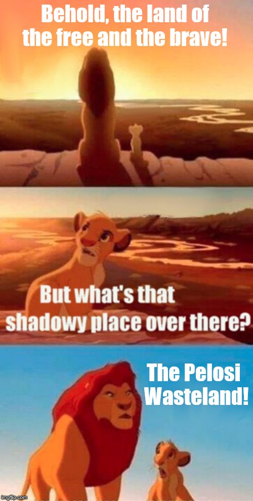 Simba Shadowy Place | Behold, the land of the free and the brave! The Pelosi        Wasteland! | image tagged in memes,simba shadowy place | made w/ Imgflip meme maker