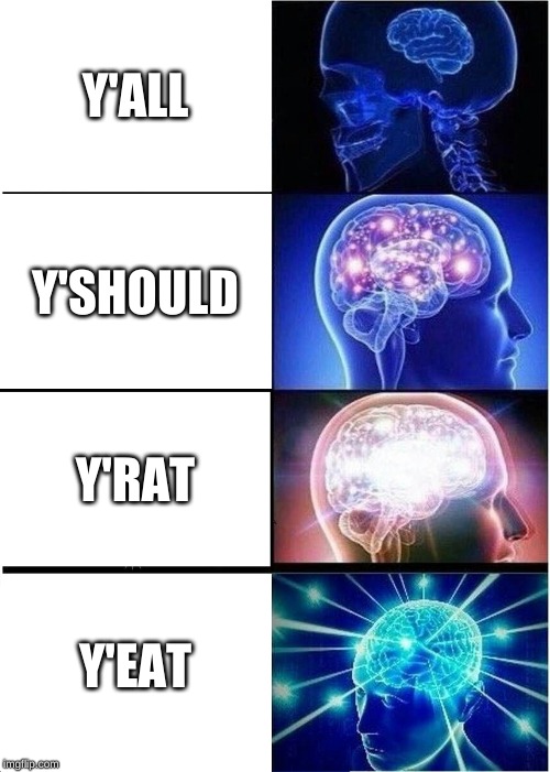 Expanding Brain | Y'ALL; Y'SHOULD; Y'RAT; Y'EAT | image tagged in memes,expanding brain | made w/ Imgflip meme maker