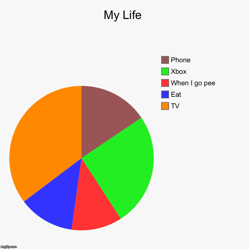 My Life | TV, Eat, When I go pee, Xbox, Phone | image tagged in charts,pie charts | made w/ Imgflip chart maker