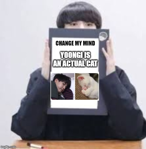 Jungkook | CHANGE MY MIND; YOONGI IS AN ACTUAL CAT | image tagged in jungkook,bts funny,change my mind,funny cat,yoongi is a cat | made w/ Imgflip meme maker