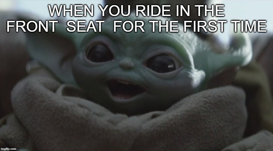Nippers | WHEN YOU RIDE IN THE FRONT  SEAT  FOR THE FIRST TIME | image tagged in nippers | made w/ Imgflip meme maker