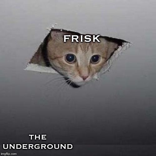 Ceiling Cat | FRISK; THE UNDERGROUND | image tagged in memes,ceiling cat | made w/ Imgflip meme maker