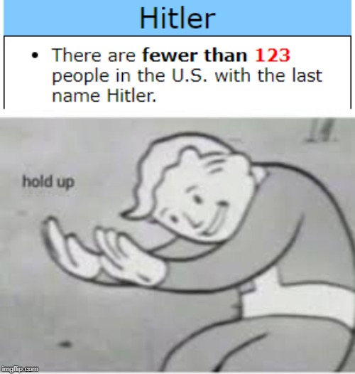Wait What? | image tagged in hold up,hitler | made w/ Imgflip meme maker