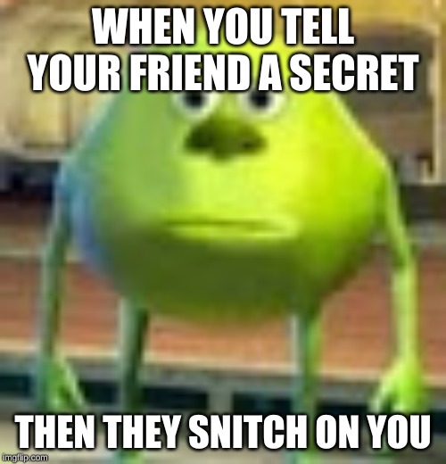 Sully Wazowski | WHEN YOU TELL YOUR FRIEND A SECRET; THEN THEY SNITCH ON YOU | image tagged in sully wazowski | made w/ Imgflip meme maker