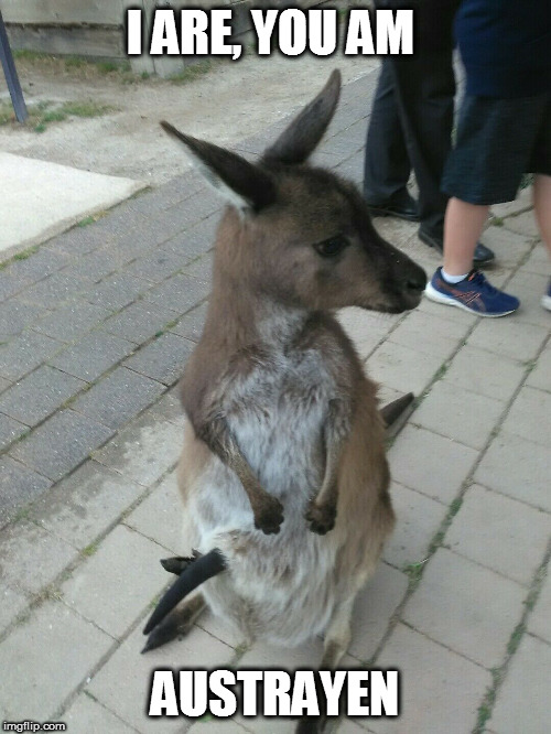 Austrayen Kangaroo with Joey | I ARE, YOU AM; AUSTRAYEN | image tagged in austrayen kangaroo with joey | made w/ Imgflip meme maker