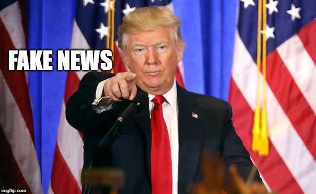 Trump Fake News | FAKE NEWS | image tagged in trump fake news | made w/ Imgflip meme maker