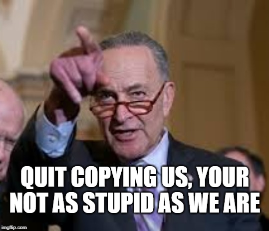 Schmuck Shumer | QUIT COPYING US, YOUR NOT AS STUPID AS WE ARE | image tagged in schmuck shumer | made w/ Imgflip meme maker