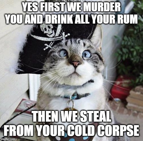 Spangles Meme | YES FIRST WE MURDER YOU AND DRINK ALL YOUR RUM THEN WE STEAL FROM YOUR COLD CORPSE | image tagged in memes,spangles | made w/ Imgflip meme maker