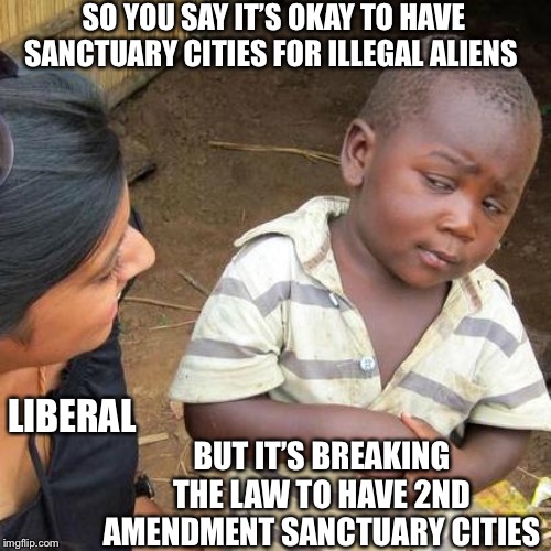 American Skeptical Citizen | SO YOU SAY IT’S OKAY TO HAVE SANCTUARY CITIES FOR ILLEGAL ALIENS; BUT IT’S BREAKING THE LAW TO HAVE 2ND AMENDMENT SANCTUARY CITIES; LIBERAL | image tagged in memes,third world skeptical kid,liberal hypocrisy,2nd amendment,illegal immigration | made w/ Imgflip meme maker