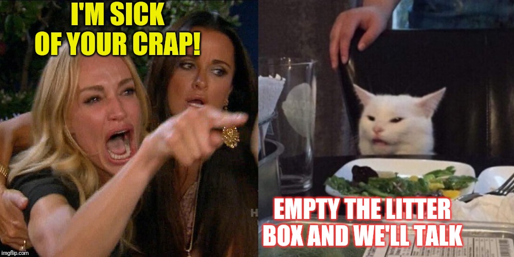 Woman yelling at cat | I'M SICK OF YOUR CRAP! EMPTY THE LITTER BOX AND WE'LL TALK | image tagged in woman yelling at cat | made w/ Imgflip meme maker