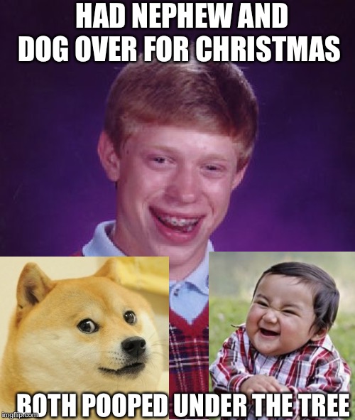 Bad Luck Brian Meme |  HAD NEPHEW AND DOG OVER FOR CHRISTMAS; BOTH POOPED UNDER THE TREE | image tagged in memes,bad luck brian,christmas tree,dog poop,doge,evil toddler | made w/ Imgflip meme maker