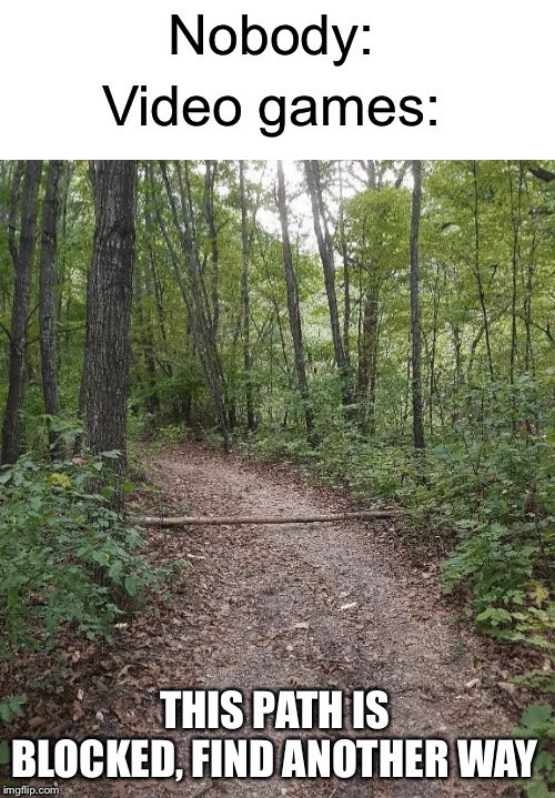 Video games | Nobody:; Video games:; THIS PATH IS BLOCKED, FIND ANOTHER WAY | image tagged in video games,funny,memes,path,nobody | made w/ Imgflip meme maker