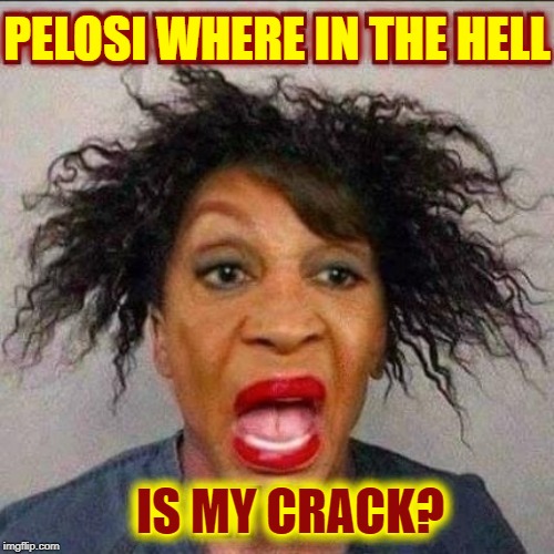 Maxine Waters: distinguished lawmaker or crackhead? | PELOSI WHERE IN THE HELL; IS MY CRACK? | image tagged in vince vance,crackhead,maxine waters,crack head,nancy pelosi,disgrace | made w/ Imgflip meme maker