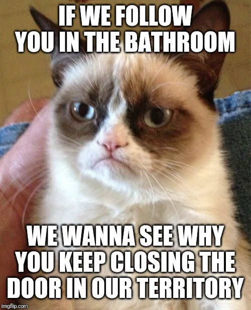 Grumpy Cat Meme | IF WE FOLLOW YOU IN THE BATHROOM; WE WANNA SEE WHY YOU KEEP CLOSING THE DOOR IN OUR TERRITORY | image tagged in memes,grumpy cat | made w/ Imgflip meme maker