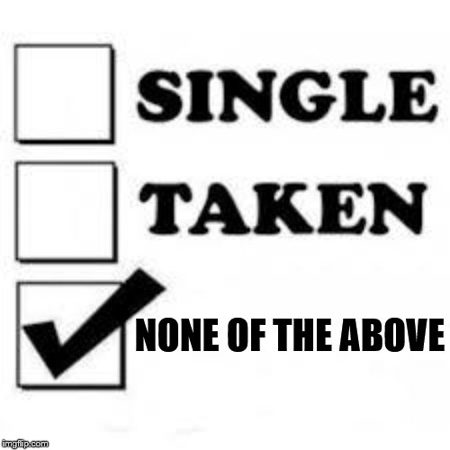 Single Taken Priorities | NONE OF THE ABOVE | image tagged in single taken priorities | made w/ Imgflip meme maker