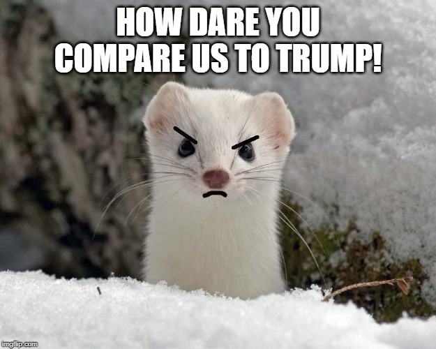 HOW DARE YOU COMPARE US TO TRUMP! | made w/ Imgflip meme maker