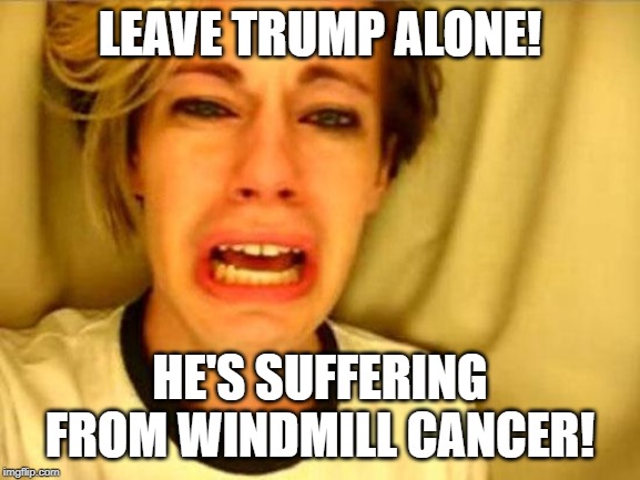 Leave Britney Alone | LEAVE TRUMP ALONE! HE'S SUFFERING FROM WINDMILL CANCER! | image tagged in leave britney alone | made w/ Imgflip meme maker
