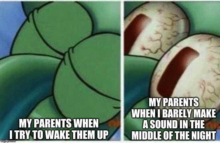 Squidward | MY PARENTS WHEN I BARELY MAKE A SOUND IN THE MIDDLE OF THE NIGHT; MY PARENTS WHEN I TRY TO WAKE THEM UP | image tagged in squidward | made w/ Imgflip meme maker