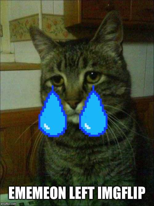 Depressed Cat Meme | EMEMEON LEFT IMGFLIP | image tagged in memes,depressed cat | made w/ Imgflip meme maker