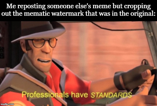 Professionals have standards | Me reposting someone else's meme but cropping out the mematic watermark that was in the original: | image tagged in professionals have standards | made w/ Imgflip meme maker