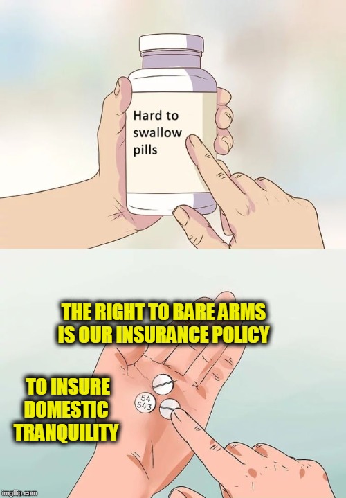 Hard To Swallow Pills | THE RIGHT TO BARE ARMS IS OUR INSURANCE POLICY; TO INSURE DOMESTIC TRANQUILITY | image tagged in memes,hard to swallow pills | made w/ Imgflip meme maker