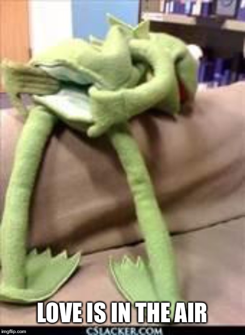 Gay kermit | LOVE IS IN THE AIR | image tagged in gay kermit | made w/ Imgflip meme maker