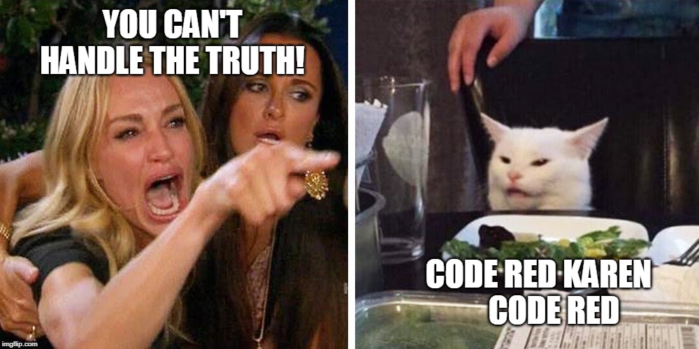 Smudge the cat | YOU CAN'T HANDLE THE TRUTH! CODE RED KAREN      CODE RED | image tagged in smudge the cat | made w/ Imgflip meme maker