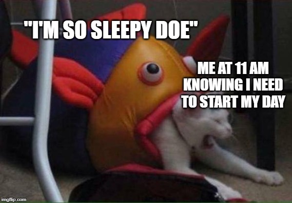 "I'M SO SLEEPY DOE"; ME AT 11 AM KNOWING I NEED TO START MY DAY | image tagged in cat being freaking eaten by a plushie fish | made w/ Imgflip meme maker