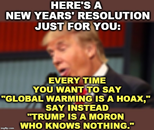 Your friends will admire you. If they don't, find new friends. | HERE'S A 
NEW YEARS' RESOLUTION JUST FOR YOU:; EVERY TIME YOU WANT TO SAY "GLOBAL WARMING IS A HOAX," 
SAY INSTEAD "TRUMP IS A MORON 
WHO KNOWS NOTHING." | image tagged in trump makes fun of the handicapped,trump,global warming,climate change,moron,idiot | made w/ Imgflip meme maker
