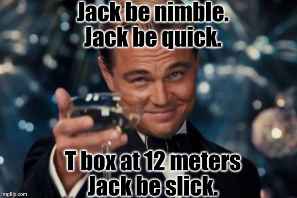 Leonardo Dicaprio Cheers | Jack be nimble.
Jack be quick. T box at 12 meters
Jack be slick. | image tagged in memes,leonardo dicaprio cheers | made w/ Imgflip meme maker
