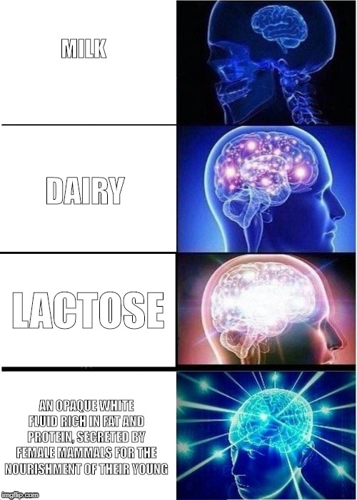 Expanding Brain Meme | MILK; DAIRY; LACTOSE; AN OPAQUE WHITE FLUID RICH IN FAT AND PROTEIN, SECRETED BY FEMALE MAMMALS FOR THE NOURISHMENT OF THEIR YOUNG | image tagged in memes,expanding brain | made w/ Imgflip meme maker