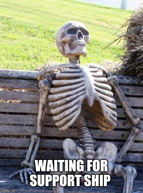 Waiting Skeleton Meme | WAITING FOR SUPPORT SHIP | image tagged in memes,waiting skeleton | made w/ Imgflip meme maker