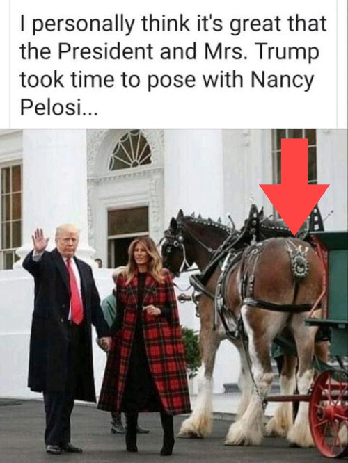 President & Mrs. Trump take time to pose with Nancy Pelosi | image tagged in potus45,nancy pelosi,photo op,horses ass,nancy pelosi wtf,funny | made w/ Imgflip meme maker
