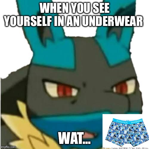 pokemon underwear | WHEN YOU SEE YOURSELF IN AN UNDERWEAR; WAT... | image tagged in lucario,bucksstar | made w/ Imgflip meme maker