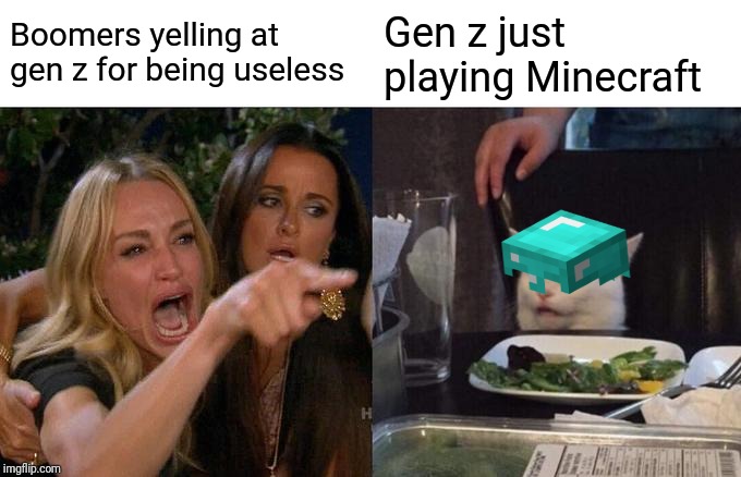 Woman Yelling At Cat Meme | Boomers yelling at gen z for being useless; Gen z just playing Minecraft | image tagged in memes,woman yelling at cat | made w/ Imgflip meme maker
