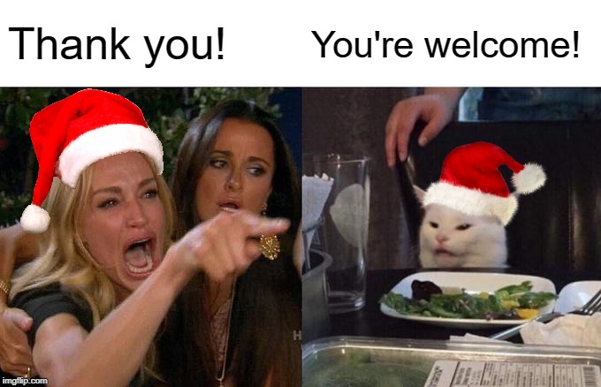 Woman Yelling At Cat Meme | Thank you! You're welcome! | image tagged in memes,woman yelling at cat | made w/ Imgflip meme maker