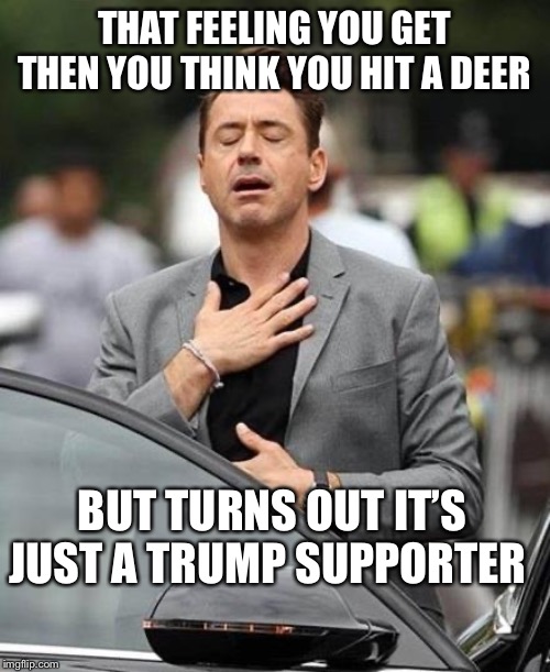 Robert Downy Jr | THAT FEELING YOU GET THEN YOU THINK YOU HIT A DEER; BUT TURNS OUT IT’S JUST A TRUMP SUPPORTER | image tagged in robert downy jr | made w/ Imgflip meme maker