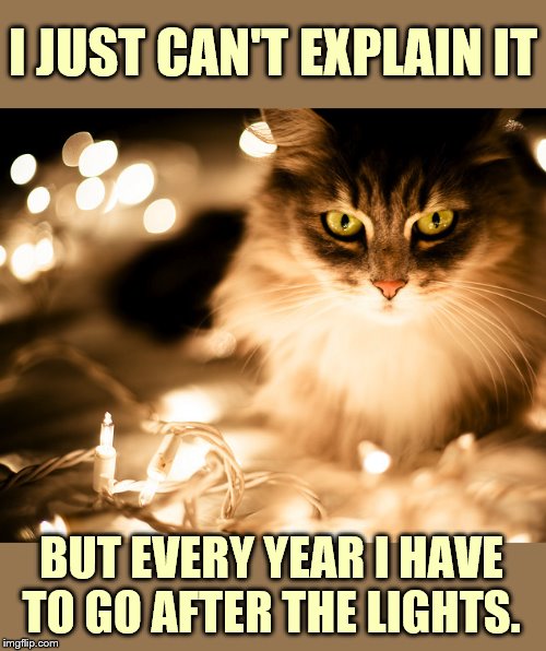 I JUST CAN'T EXPLAIN IT BUT EVERY YEAR I HAVE TO GO AFTER THE LIGHTS. | made w/ Imgflip meme maker