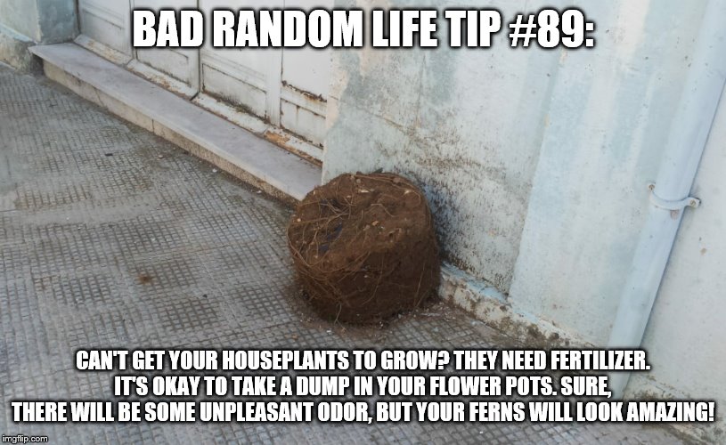 Charging Flower Pot | BAD RANDOM LIFE TIP #89:; CAN'T GET YOUR HOUSEPLANTS TO GROW? THEY NEED FERTILIZER. IT'S OKAY TO TAKE A DUMP IN YOUR FLOWER POTS. SURE, THERE WILL BE SOME UNPLEASANT ODOR, BUT YOUR FERNS WILL LOOK AMAZING! | image tagged in charging flower pot | made w/ Imgflip meme maker