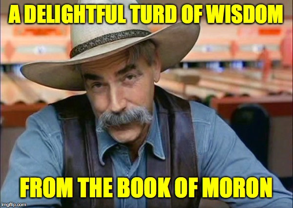 Sam Elliott special kind of stupid | A DELIGHTFUL TURD OF WISDOM FROM THE BOOK OF MORON | image tagged in sam elliott special kind of stupid | made w/ Imgflip meme maker