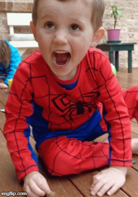 I am William Tyrrell | PLEASE DON'T FORGET WILLIAM. 1MILLION REWARD FOR INFO
CONTACT CRIME STOPPERS NSW AUS | image tagged in gifs | made w/ Imgflip images-to-gif maker