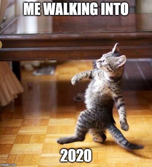 Cat Walking Like A Boss | ME WALKING INTO; 2020 | image tagged in cat walking like a boss | made w/ Imgflip meme maker