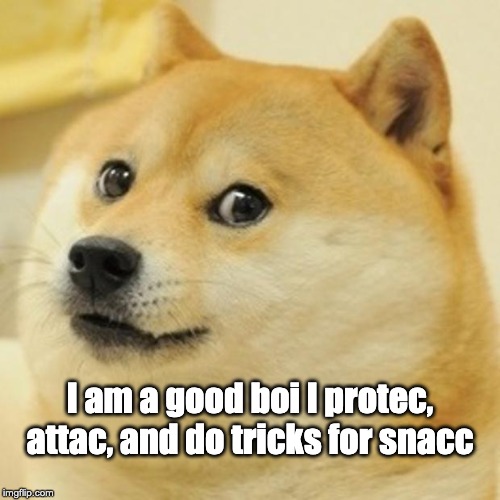 Doge Meme | I am a good boi I protec, attac, and do tricks for snacc | image tagged in memes,doge | made w/ Imgflip meme maker