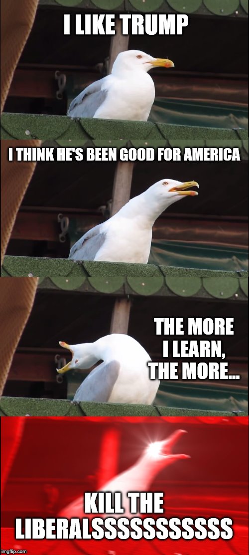 When there's a decent pro-Trump message in the OP meme but in the comments they're killing liberals | I LIKE TRUMP; I THINK HE'S BEEN GOOD FOR AMERICA; THE MORE I LEARN, THE MORE... KILL THE LIBERALSSSSSSSSSSS | image tagged in memes,inhaling seagull,trump,liberals,propaganda,right wing | made w/ Imgflip meme maker