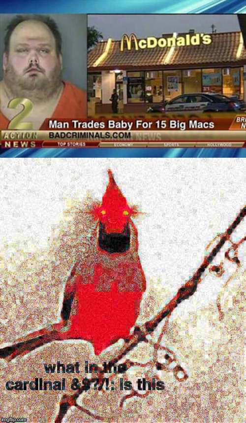 What in the cardinal | image tagged in man trades baby for 15 big macs,cardinal bird,deep fried | made w/ Imgflip meme maker
