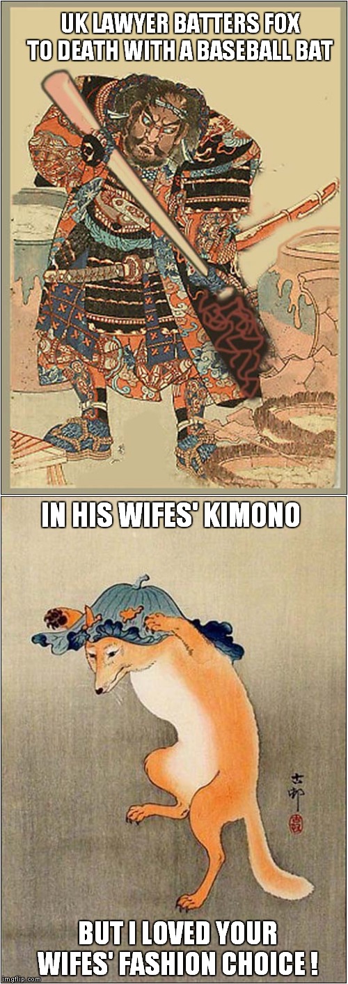 Samurai QC Vs Fox | UK LAWYER BATTERS FOX TO DEATH WITH A BASEBALL BAT; IN HIS WIFES' KIMONO; BUT I LOVED YOUR WIFES' FASHION CHOICE ! | image tagged in fun,lawer,samurai,fox | made w/ Imgflip meme maker