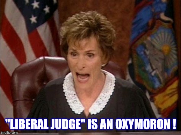 Judge Judy | "LIBERAL JUDGE" IS AN OXYMORON ! | image tagged in judge judy | made w/ Imgflip meme maker