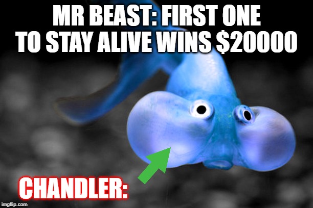 Chandler Meme | MR BEAST: FIRST ONE TO STAY ALIVE WINS $20000; CHANDLER: | image tagged in mrbeast,chandler | made w/ Imgflip meme maker